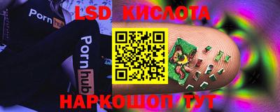 стафф Кандалакша