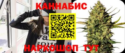 стафф Кандалакша