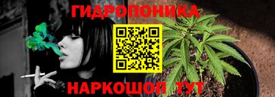 стафф Кандалакша