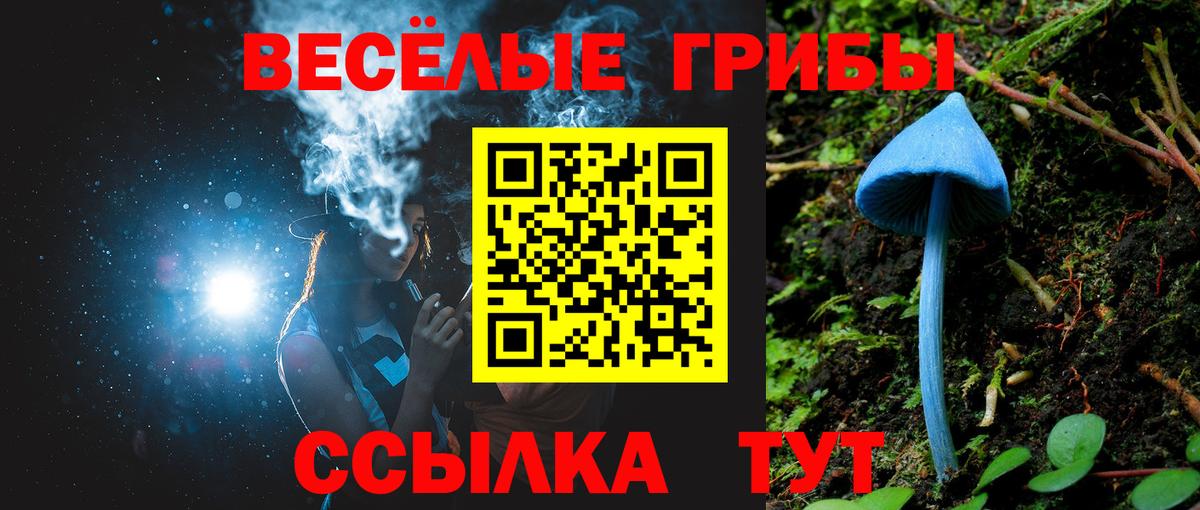 Галлюциногенные грибы прущие грибы Подольск