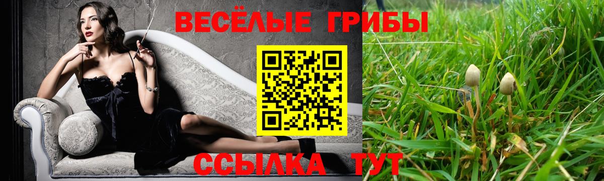 Подольск  где продают наркотики  Вход с VPN  Псилоцибиновые грибы GOLDEN TEACHER  Псилоцибиновые грибы мицелий 